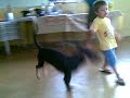Gostavo e Lola