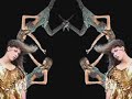 Bernhard Willhelm, Pelicanvideo