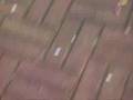 videos de nitraten