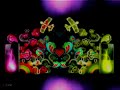 Zune (Done In Motion)