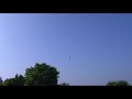 G�vercin Takla Halit G�ng�r Almanya  2008 yavru