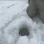 PIKE ON ICE (P2)