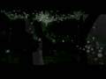 videos de Twilight Music Video-Edward and Bella