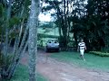 ano novo morungaba 264 ano novo morungaba 264
