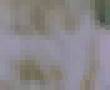 videos de I LOVE YOU (unknown)