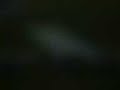 Palmeiras 1 x 0 Ponte preta - Final Paulista - Tv Alviverde