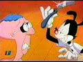 Animaniacs - Yo ya no sé lo que estos monos harán (Español) Animaniacs - Yo ya no sé lo que estos monos harán (Español)