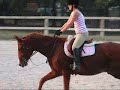 Lesson on Rosco