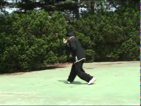 發勁发劲Yizungyue - Sifu Wei-Chung Lin (林維中), a disciple of the Yizungyue (易宗岳) School and the Chief Instructor of the Chinese Taoist Martial Arts Association ( http://ctmaa.com...