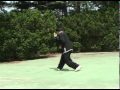 Xingyiquan (Xingyi Fist) Form and Applications