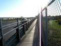 Pont Jacques-Cartier Bridge - Longueuil
