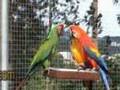 Puťák 2007: ZOO Ústí nad Labem