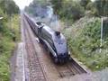 UNION OF SOUTH AFRICA Steam Locomotive