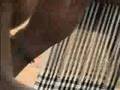 African hand weavers