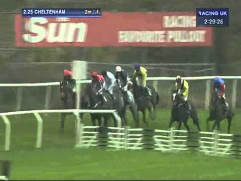 racing cheltenham