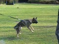 XiXaXu 9 months training protection...