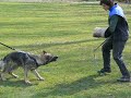 XiXaXu 9 months training protection...