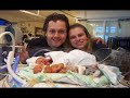 Tribute to Andrew Panas