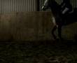 Spånka nkpg fet Malin Baryard - do you wanna ride