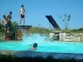 ANIMANIAX EN FOLIE