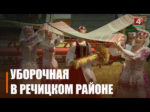 Па традыцыі жніво пачалі з "Зажынак". Аграрыі вобласці масава ўбіраюць азімы ячмень видео