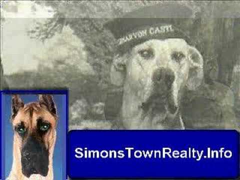 Royal Navy Enlist Simonstown Dog ...