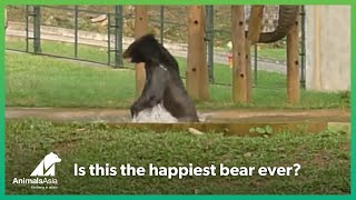 Is this the happiest bear ever?