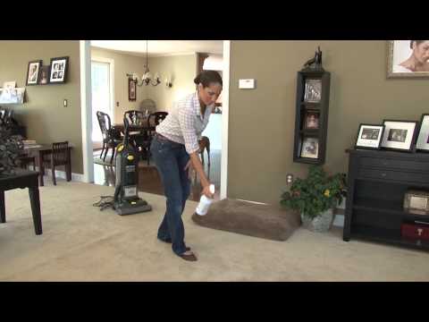 how to eliminate dog dander