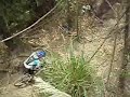 COMPETENCIA PICHINCHA 3
