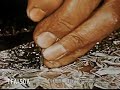 Iran 1953 Iran 1953