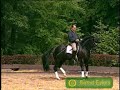 Dressage-H Rehbein & Donnerwetter at home Dressage-H Rehbein & Donnerwetter at home