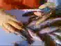 aqualife.html
