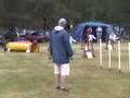 Manchester Terrier video