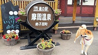 根崎公園 ドッグラン 北海道函館市 無料 室内などの条件から近所のドッグランを検索 みんなの口コミ 19年度版