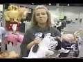Zoobies on the News Zoobies on the News