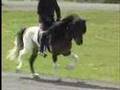 Video ansehen