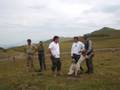 Caza y perros