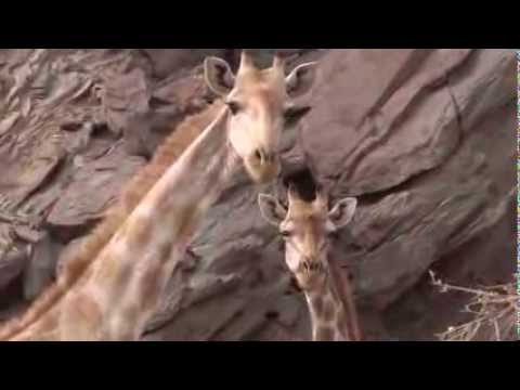 Namibia 2013 - Journey Documentary