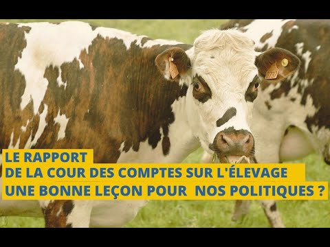 Image de prévisualisation YouTube