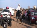 caballo bailador de Mazatlan EL AMO