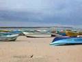 Sri Lanka - Beach of Arugam Bay