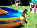 pool from Ken
