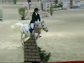 le cavalle ke hanno cambiato la mia vita le cavalle ke hanno cambiato la mia vita