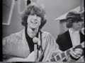 Mr Tambourine Man
