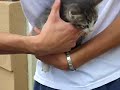 OMG SO CUTE!!!!