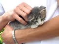 OMG SO CUTE!!!!