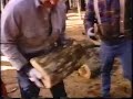 Log Splitter Log Splitter
