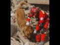 earthquake...peru