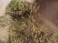 atv stuck