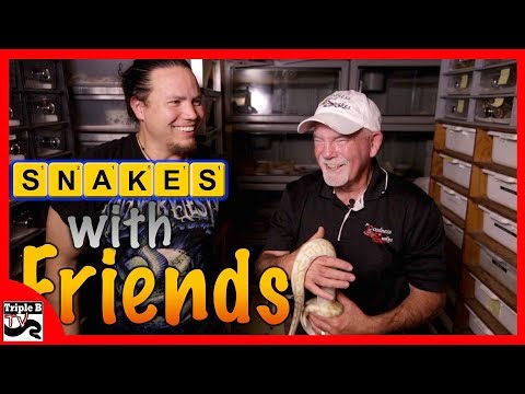 YouTube reptile video